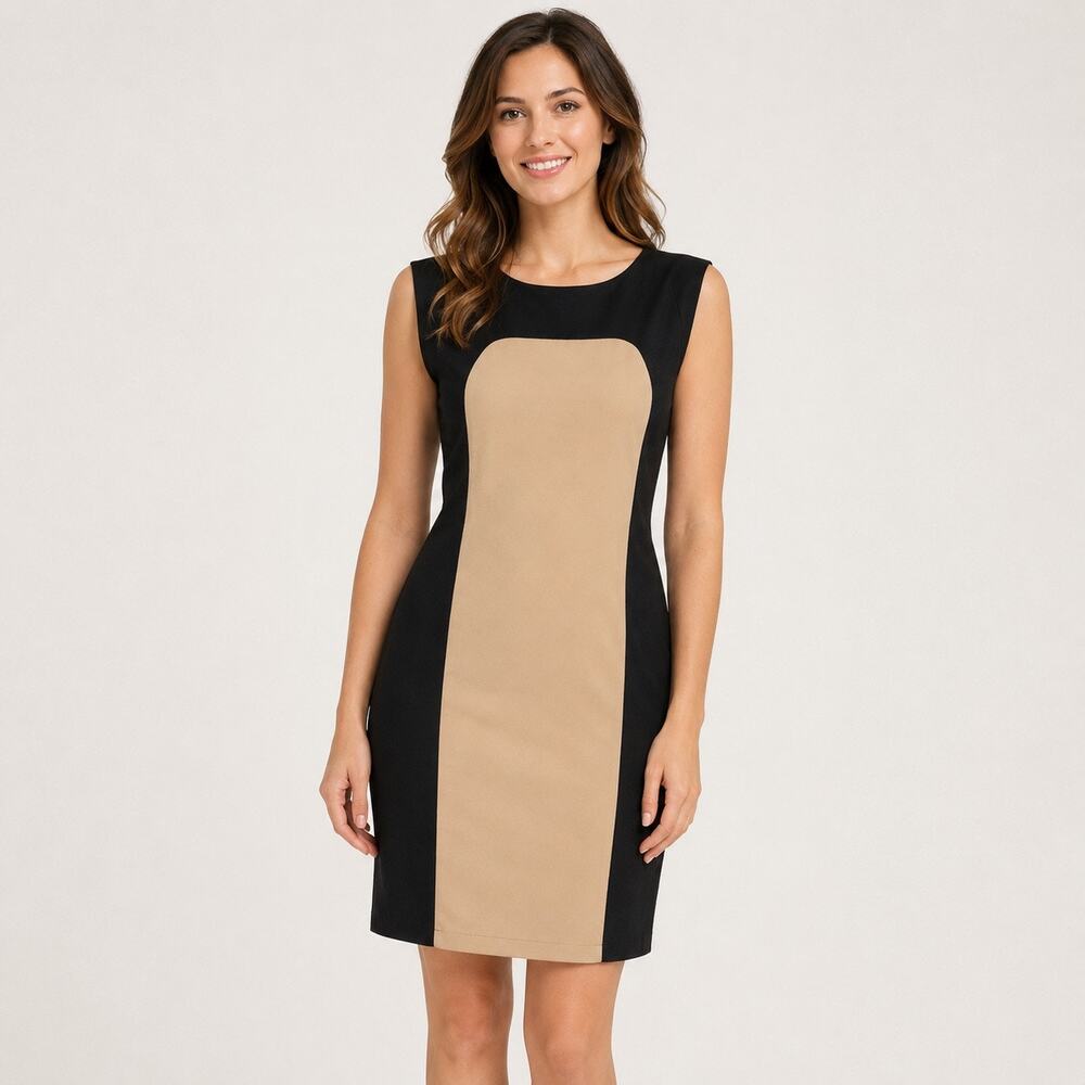 Calvin Klein Womens Sheath Dress Colorblock Black Brown Career Cocktails Size 4